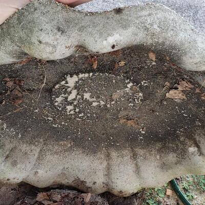 180A - Concrete Bird Bath