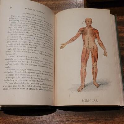 Lot 292: 1885 Gray's Botany, 1896 Essential Lessons in Human Physiology & 1872 Cutter First Book on Analytic Anatomy 