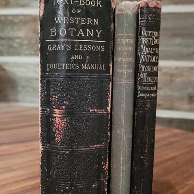 Lot 292: 1885 Gray's Botany, 1896 Essential Lessons in Human Physiology & 1872 Cutter First Book on Analytic Anatomy 