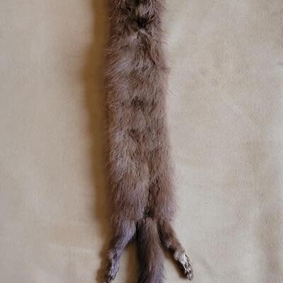 Lot 333: Fur Colar