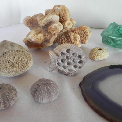 LOT 178 GEOS AND SHELLS