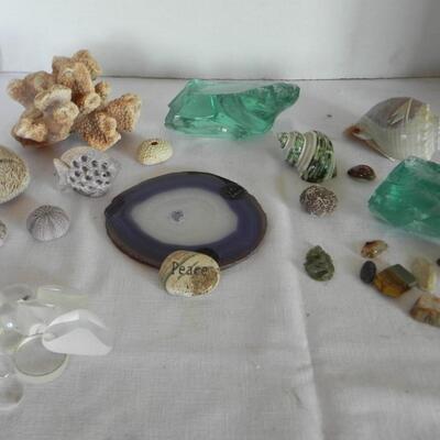 LOT 178 GEOS AND SHELLS