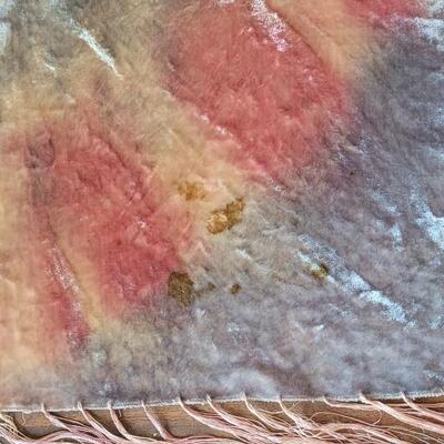 Lot 442: Antique Victorian Velvet Fringe Tablecloth & Pillow or Seat Top