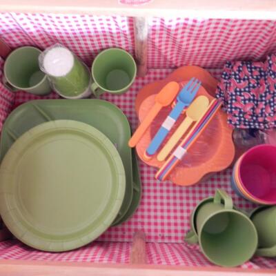 LOT 204 READY FOR PICNIC