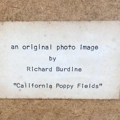 California Poppy Fields Framed Photo By Richard Burdine