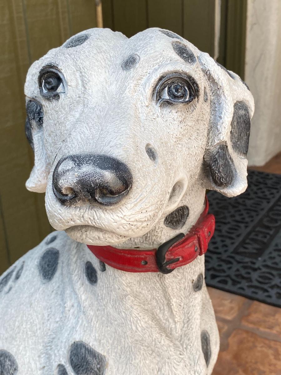 Large dalmatian sale