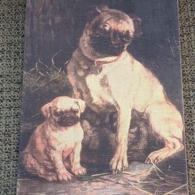 Adorable Pugs!
