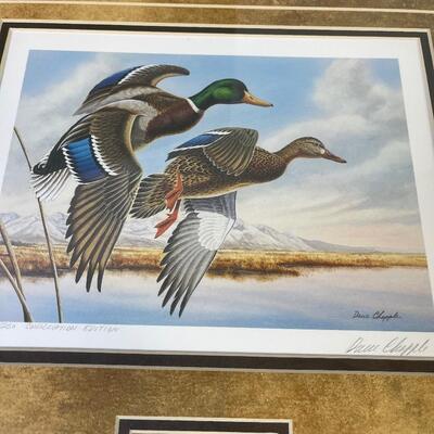 #87 Dave Chapple Utah 1988 Water Foul Stamp Pic