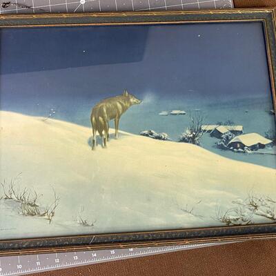 #231 Lone Wolf Antique Print