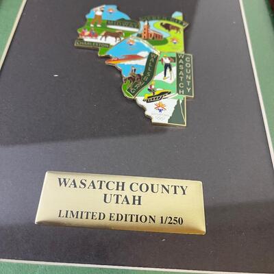 #232 Wasatch County Olympic Pins Puzzle Framed 