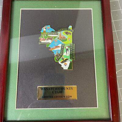 #232 Wasatch County Olympic Pins Puzzle Framed 