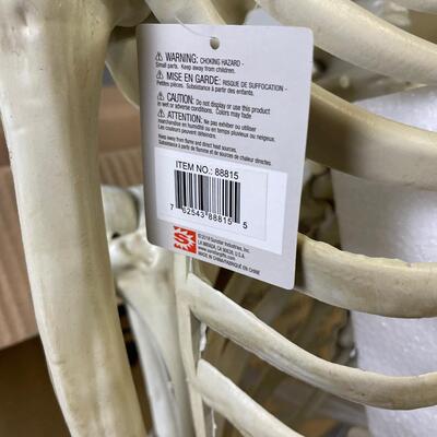 #268 Life Size Skeleton New in Opened Box 