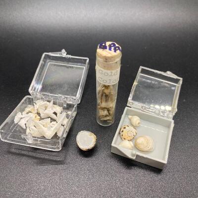 Tiny Geode, Seashells, Gold Ore