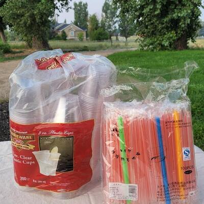 Lot 133: Plastic Cups and Straws Assortment 