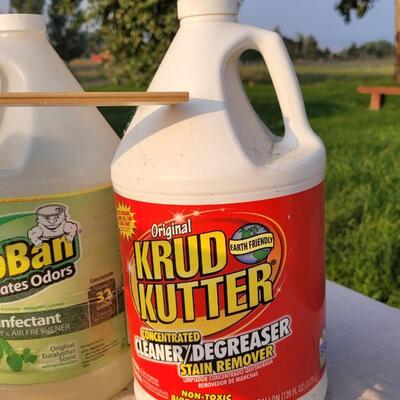 Lot 141: Assorted Concentrated Cleaning Supplies 