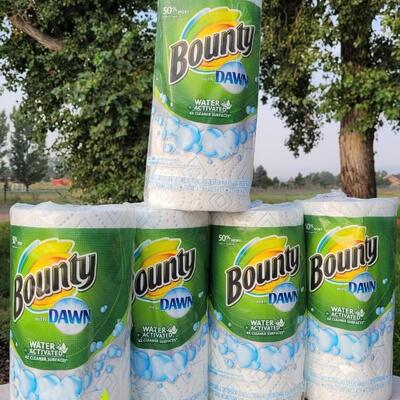 Lot 144: (5) New DAWN BOUNTY Paper Towels 