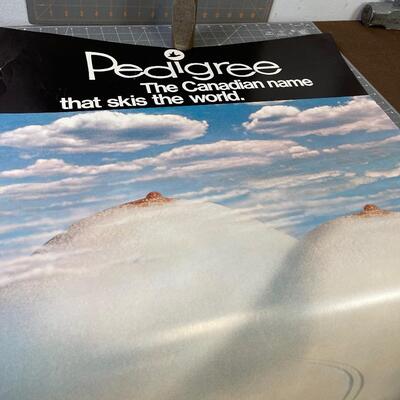 #348 Pedigree The Canadian Name that Skis the World. 