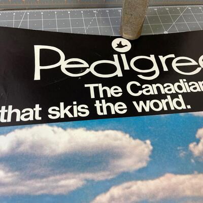 #348 Pedigree The Canadian Name that Skis the World. 