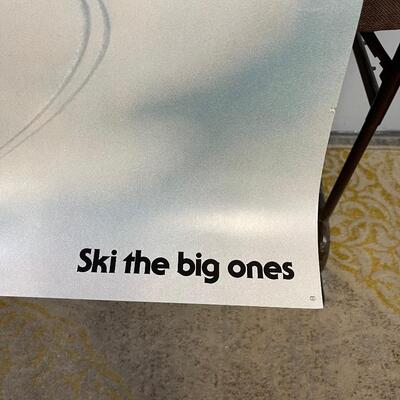 #348 Pedigree The Canadian Name that Skis the World. 