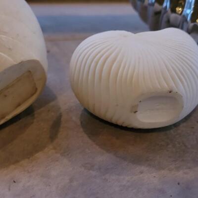 Lot 198: Decorative Ceramic Shells - Perfect for Air Plants