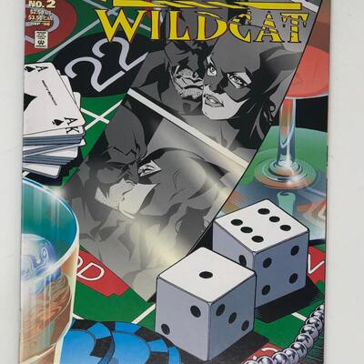 DC, Catwoman Wildcat #2 