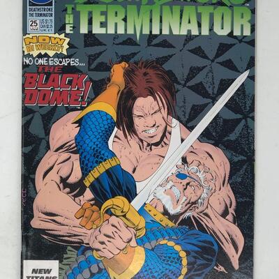 DC, Deathstroke the Terminator #25 