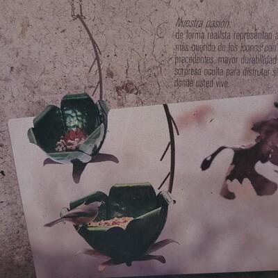 Lot 207: Crab Apple Feeder - Desert Steel (Green)