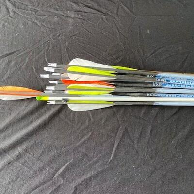 LOT#G102: Bear Whitetail Unlimited Compound Bow