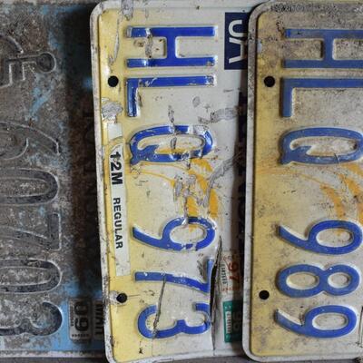 License Plate Lot #229