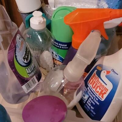 Lot 345: Mixed Cleaning Supplies 