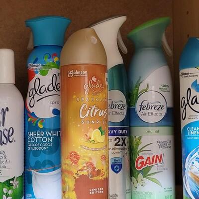 Lot 353: Air Freshners & Magic Erasers lot