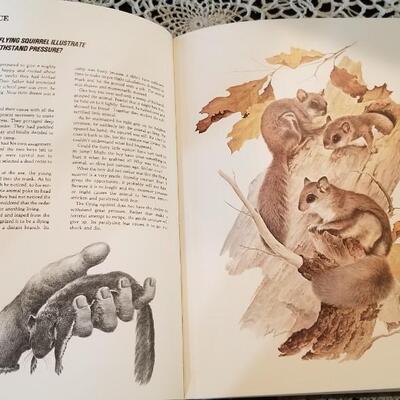 Lot 440: Character Sketches Vol.2