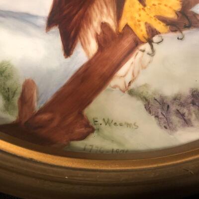 #92 Bald eagle plate