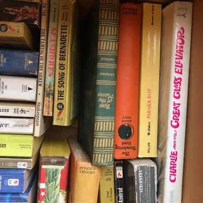 #164- box of vintage novels