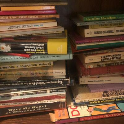#211 Bookshelf of books 