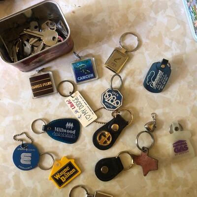 #293 Bundle of key rings and random keys