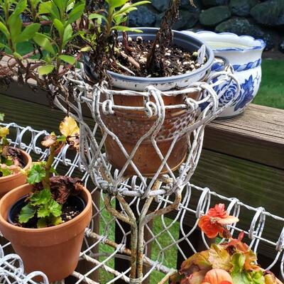 Beautiful vintage wrought iron planter plants included!