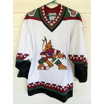 PHOENIX COYOTES â€œGOALS FOR KIDSâ€ HOCKEY JERSEY