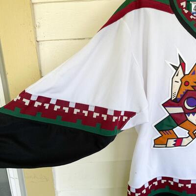 PHOENIX COYOTES â€œGOALS FOR KIDSâ€ HOCKEY JERSEY