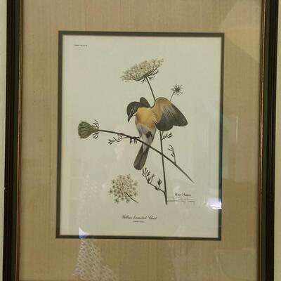 Signed Ray Harm Print of Yellow Breasted Chat