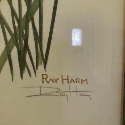 Signed Ray Harm Print of Yellow Throat
