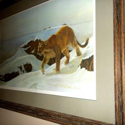 Beautifully Framed "Cougar Country" Signed Print