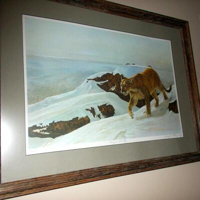 Beautifully Framed "Cougar Country" Signed Print