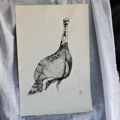 Etched , Turkey, drawing, size black and faded white back round