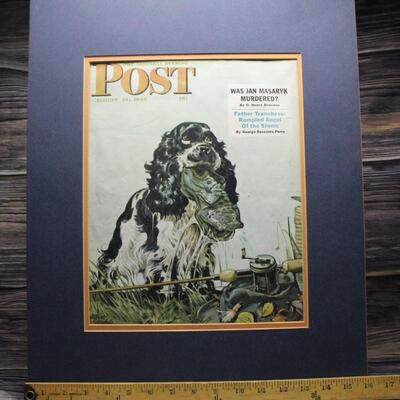Vintage POST Magazine Cover Springer Spaniel Dog