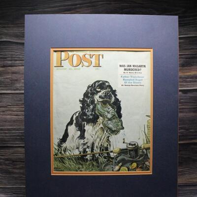 Vintage POST Magazine Cover Springer Spaniel Dog