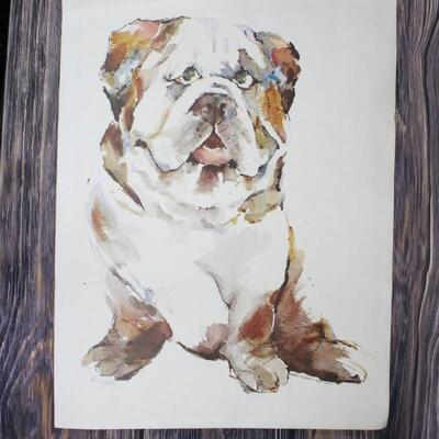Unsigned Bulldog Watercolor Painting Unframed