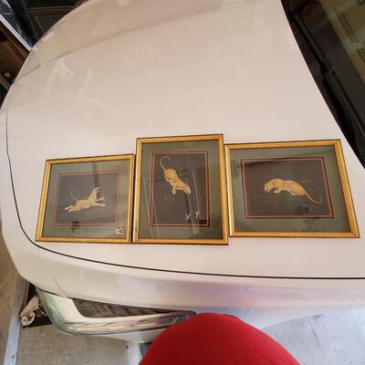Set of Three Tiger pictures, framed.