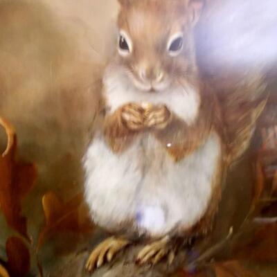 Squirrel Picture signed by the artist