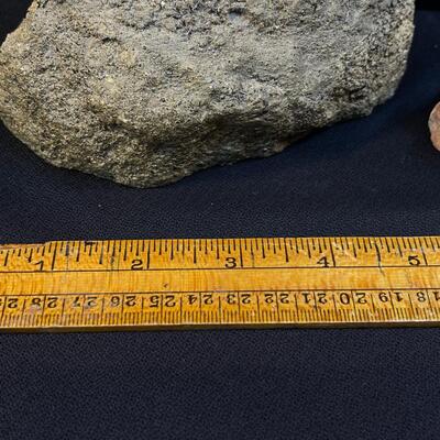 Museum Quality Sea Urchin fossil and Petrified Wood